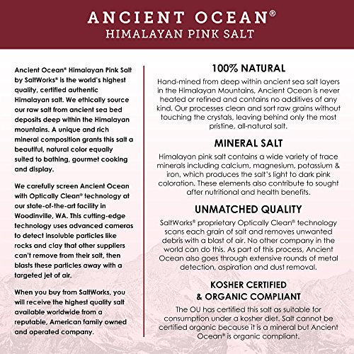 Ancient Ocean Himalayan Pink Salt, Fine, Zip-Top Pouch, 4.0 Ounce